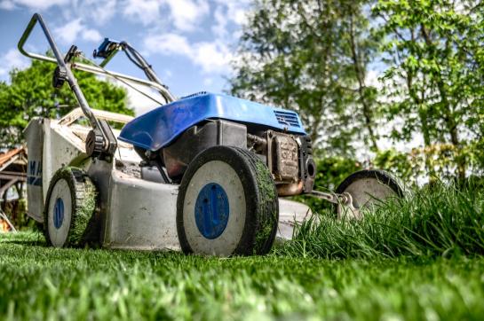 Grasmachine op gras